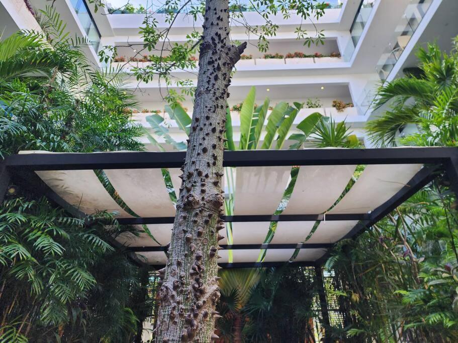 Stunning 1 Bdrm Condo Gym-Pool 10 Min To The Beach & Quinta Av ปลายาเดลการ์เมน ภายนอก รูปภาพ